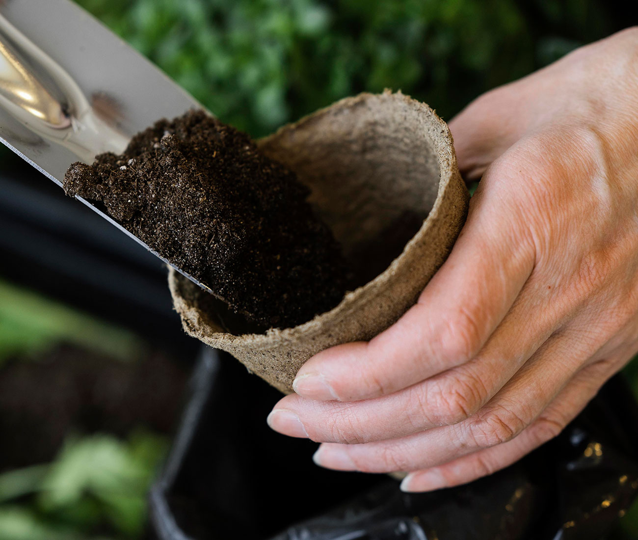 Quale concime scegliere per il giardino - fertilizzanti organici